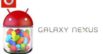 Jelly Bean for Galaxy Nexus at Vodafone Australia in the Works