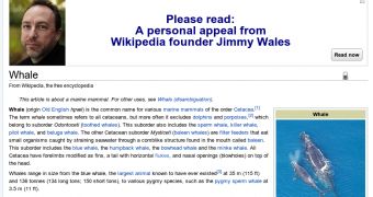 Jimmy Wales adorns every Wikipedia page again