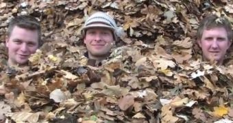 Jumping on the World's Biggest Pile of Leaves – Video