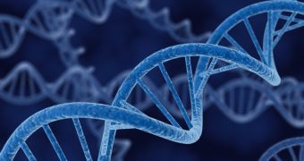 Study finds that over 90% of human DNA does nothing at all