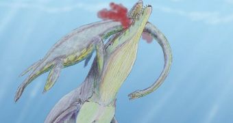 The K-T event killed off large marine reptiles such as mosasaurs and plesiosaurs