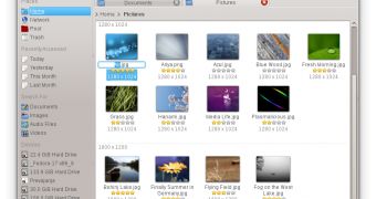 Dolphin in KDE 4.9.2