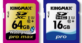 Kingmax's New SD Cards