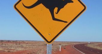 A sign that warns Australian drivers to watch out for kangaroos on the highway
