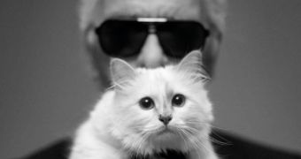 Karl Lagerfeld and his super-spoiled kitten Miss Choupette