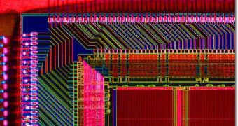 Image showing thousands of delicate connections on a silicon microprocessor chip