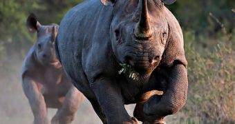 Officials in Kenya implement emergency measures meant to curb poaching