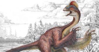 Killer Chicken-like Dinosaur Discovered in the Dakotas