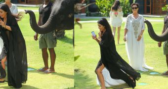 Kim Kardashain flees from an elephant during a photoshoot in Thailand