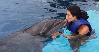PETA is not happy with Kim's decision to go swimming with dolphins while visiting Mexico