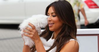 Kim Kardashian's Kitten, Mercy, Dies Because of a Stomach Problem