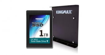 Kingmax 1 TB SSD Selling in Japan