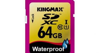 Kingmax 64 GB SDXC unveiled