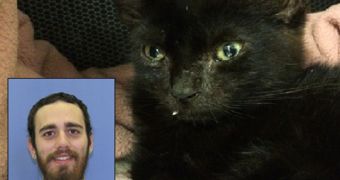 Kitten Drugged with Heroin Saved by Quick-Thinking Vet