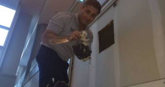 Kitten gets rescued at Miami airport