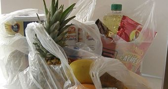LA Readies to Ban Plastic Grocery Bags