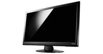I-O Data LCD monitor