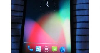 LG E960 Mako Is the Next Nexus Phone