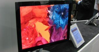 LG OLED panel