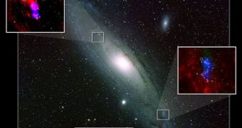 Andromeda and Triangulum reveal DIB that hint at the existence of large organic molecules in these two galaxies