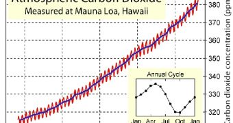 Carbon levels recorded in Hawaii over the last four decades