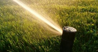 All lawns could be watered by septic tanks, such as the one designed by Biokube
