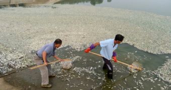 Chemical plant is responsible for the death of thousands of fish inhabiting China's Fuhe River
