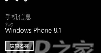 Windows Phone 8.1 Update 2 OS information screen
