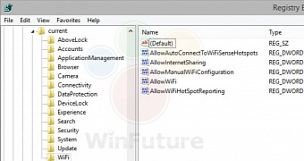 The screenshot shows that the feature is already implemented in Windows' registry