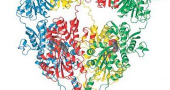 This glutamate receptor may play a crucial role in memory and learning