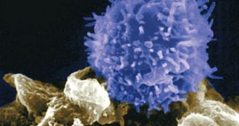Modified T cells cure leukemia in just 8 days