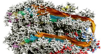 A molecular model of amyloid protein fibrils. Formed when mis-folded proteins self-assemble into fibrous sheet structures, they are found in the brains of sufferers of Alzheimer's disease