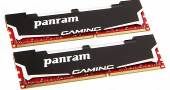 PANRAM Light Sword DDR3 memory
