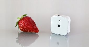 The Lightbox is a very small lifelogging camera