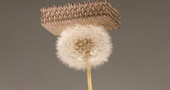 Even a tiny flower can support the new material, which is 99.99 percent open air