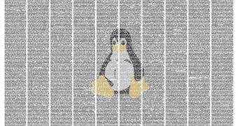 Linus Torvalds Keeps Code in the Kernel for Just One User