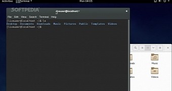 GNOME Terminal on Fedora 21