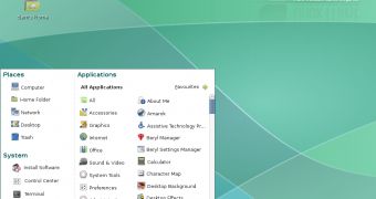 Linux Mint Cassandra Desktop