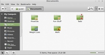 Folder emblems in Linux Mint