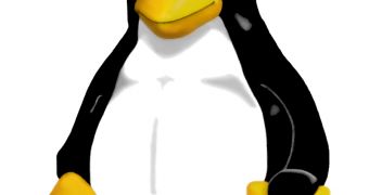Linux Transforms Foes into Friends