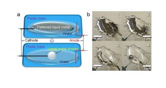 Liquid metal 3D-assembling droplets