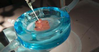 Supercooled liver survives outside the body for several days in a row