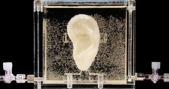Artist uses 3D printing to make living replica of Van Gogh's ear