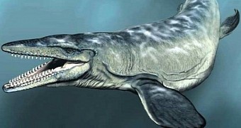 Artist's depiction of a mosasaurs