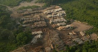 Logging Contributes Greatly to Climate Change, Global Warming