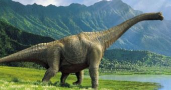 Researchers doubt long-necked dinosaurs used to swivel their heads around