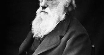 Creationists have no evidence to contradict Darwin's theory of evolution