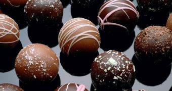 Researchers use fruit juice to produce low-fat chocolate