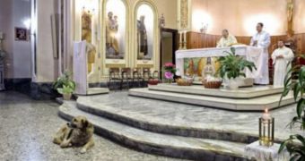 Loyal dog still attends mass service two months after its owner passed away