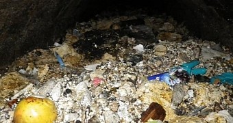 Workers spent 4 days trying to remove fatberg blocking sewers in London